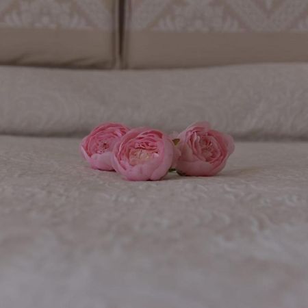 B&B Peonia Orgosolo Extérieur photo